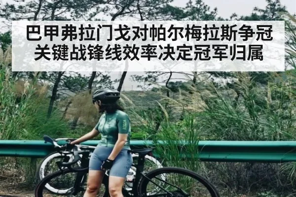 巴甲弗拉门戈对帕尔梅拉斯争冠关键战锋线效率决定冠军归属